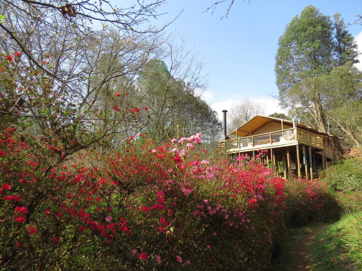 Africamps Magoebaskloof Βίλα Εξωτερικό φωτογραφία