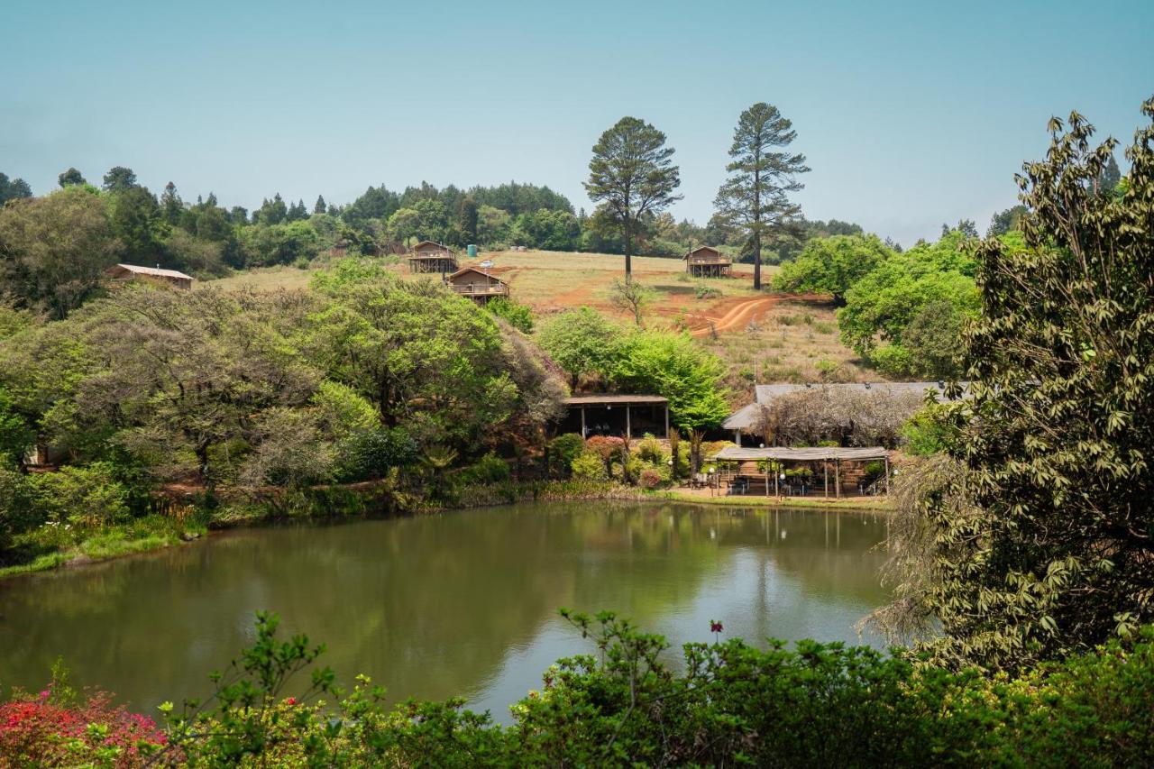 Africamps Magoebaskloof Βίλα Εξωτερικό φωτογραφία
